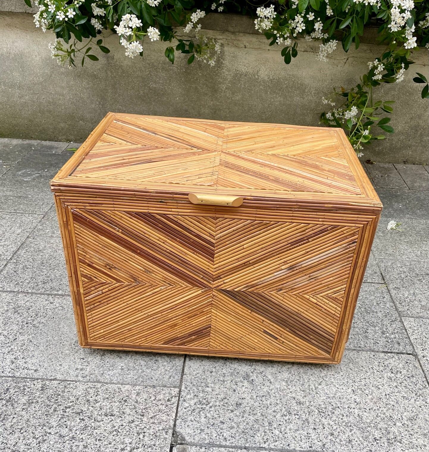 Vintage rattan chest