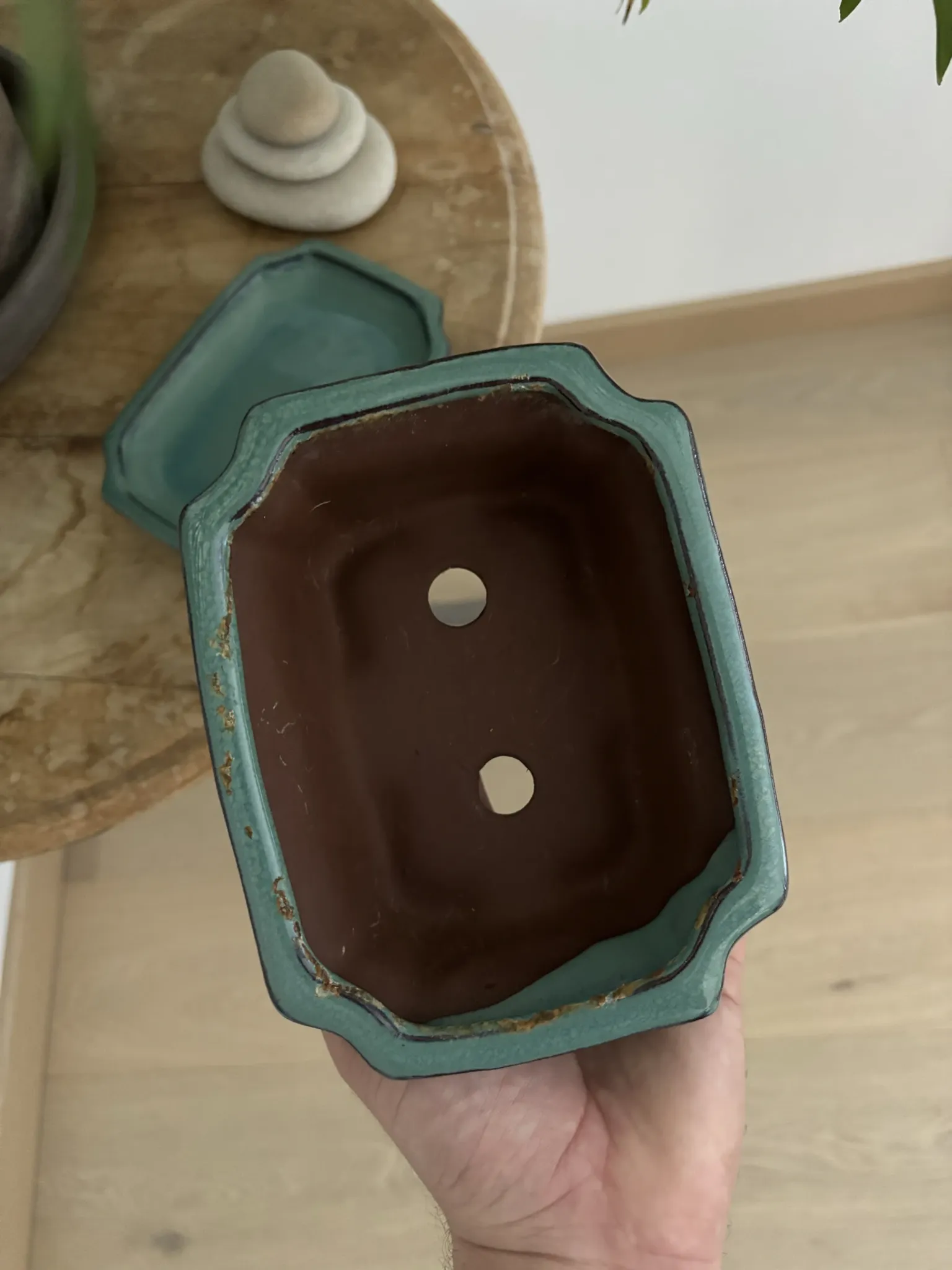 Light green ceramic flower pot