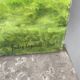 Green landscape signed in 1998