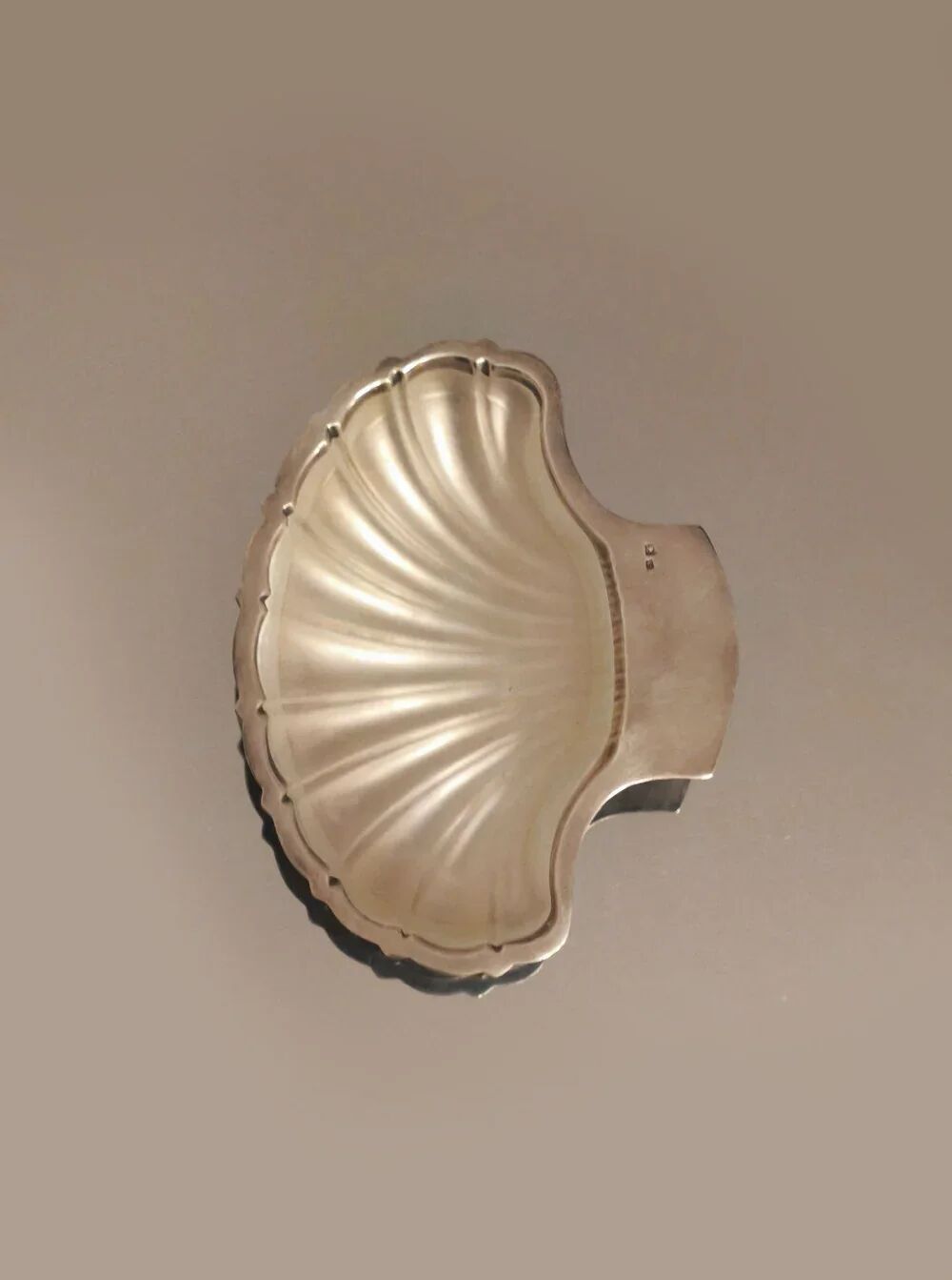 Beurrier coquillage