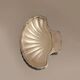 Beurrier coquillage