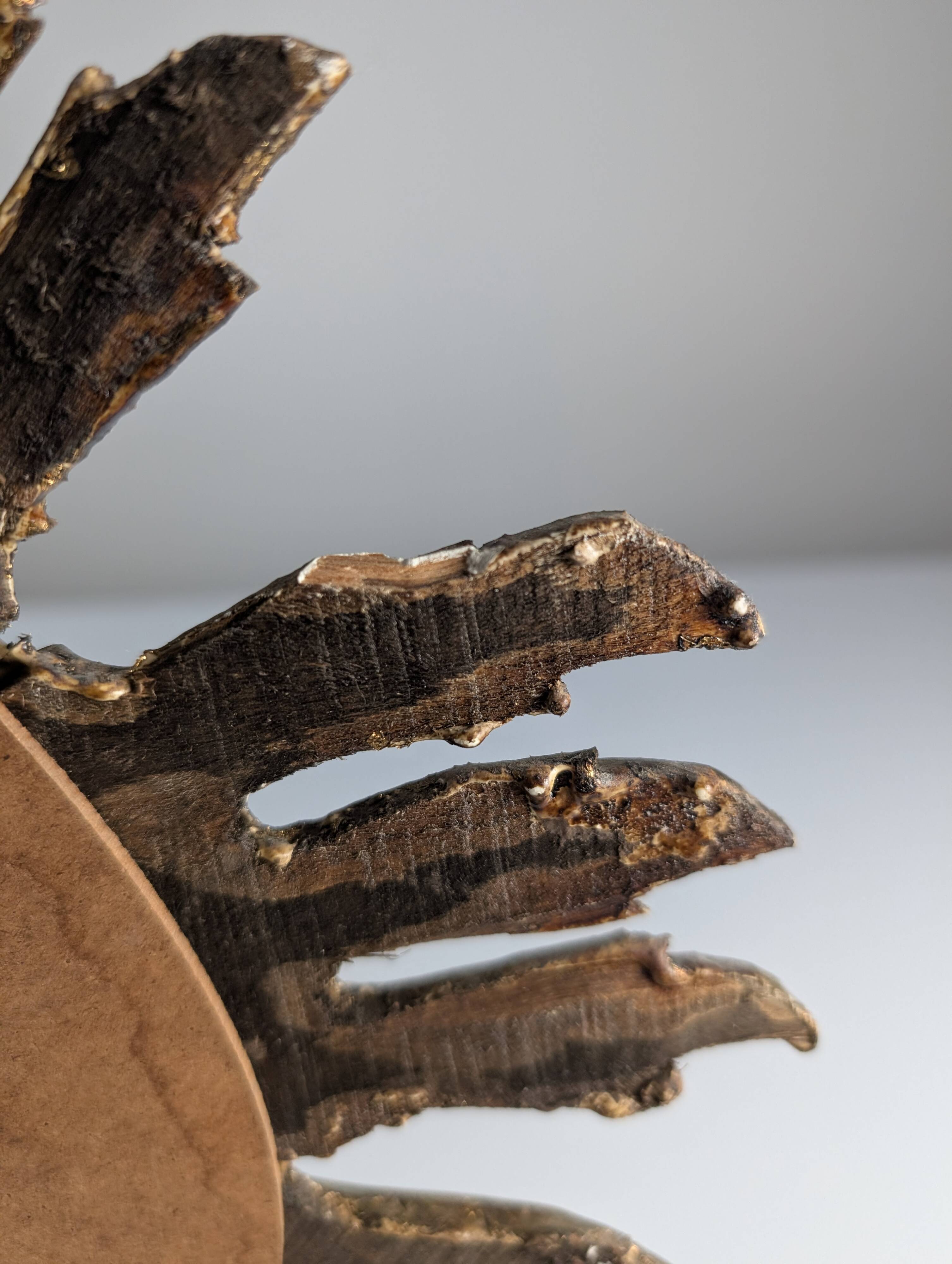 Giltwood Sunburst Mirror, 1960s