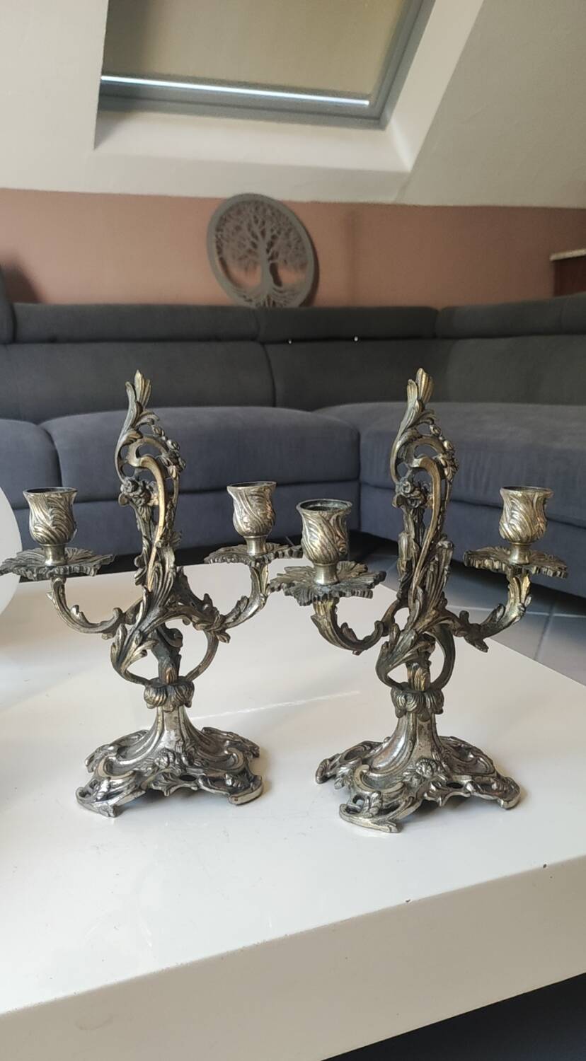 Pair of Candelabra in Louis XV/Rocaille Style, 2 lights. In gilded bronze, 19th century.