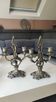 Pair of Candelabra in Louis XV/Rocaille Style, 2 lights. In gilded bronze, 19th century.