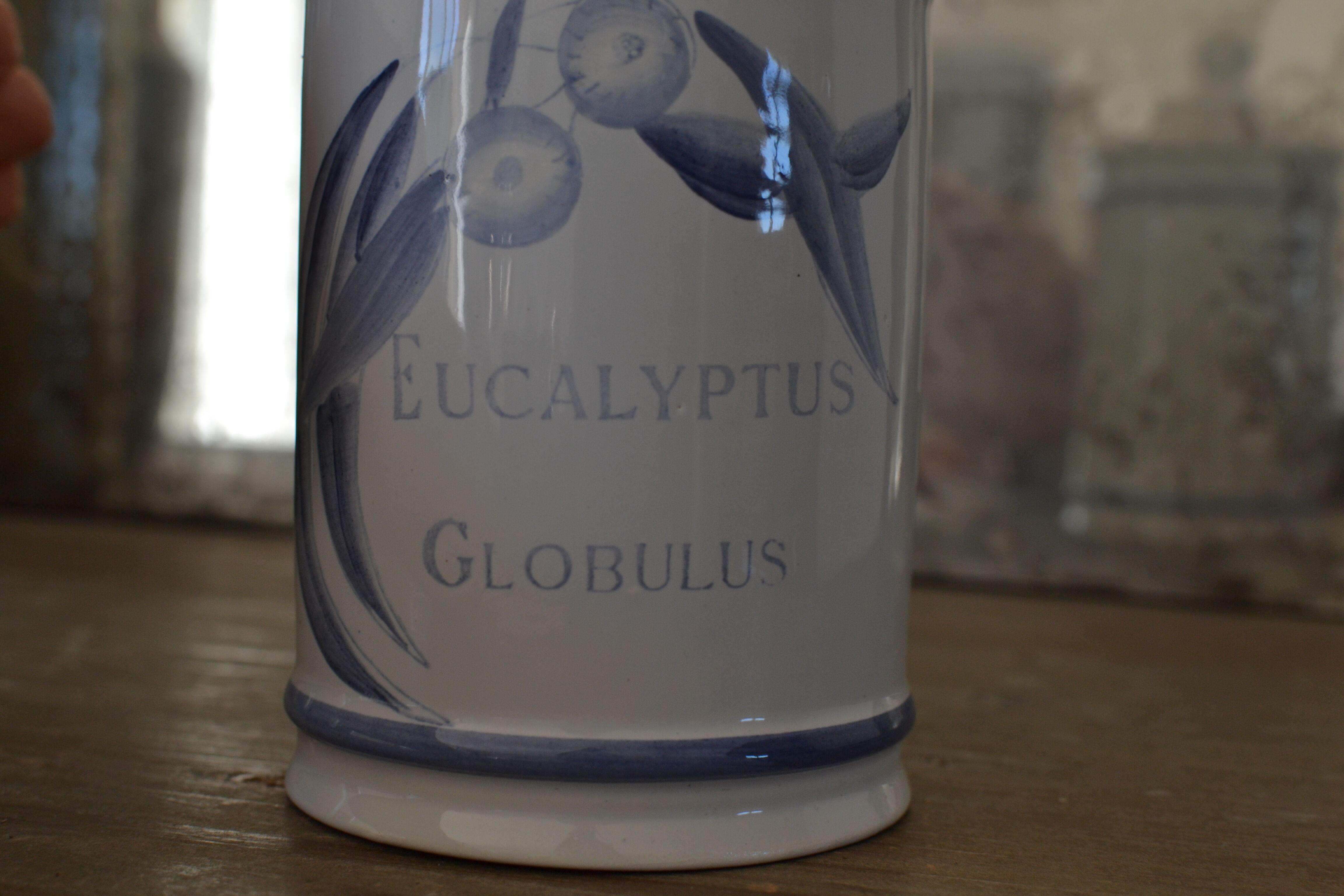 Old pharmacy pot eucalyptus globulus longchamp