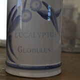 Old pharmacy pot eucalyptus globulus longchamp