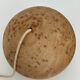 Old wooden bilboquet