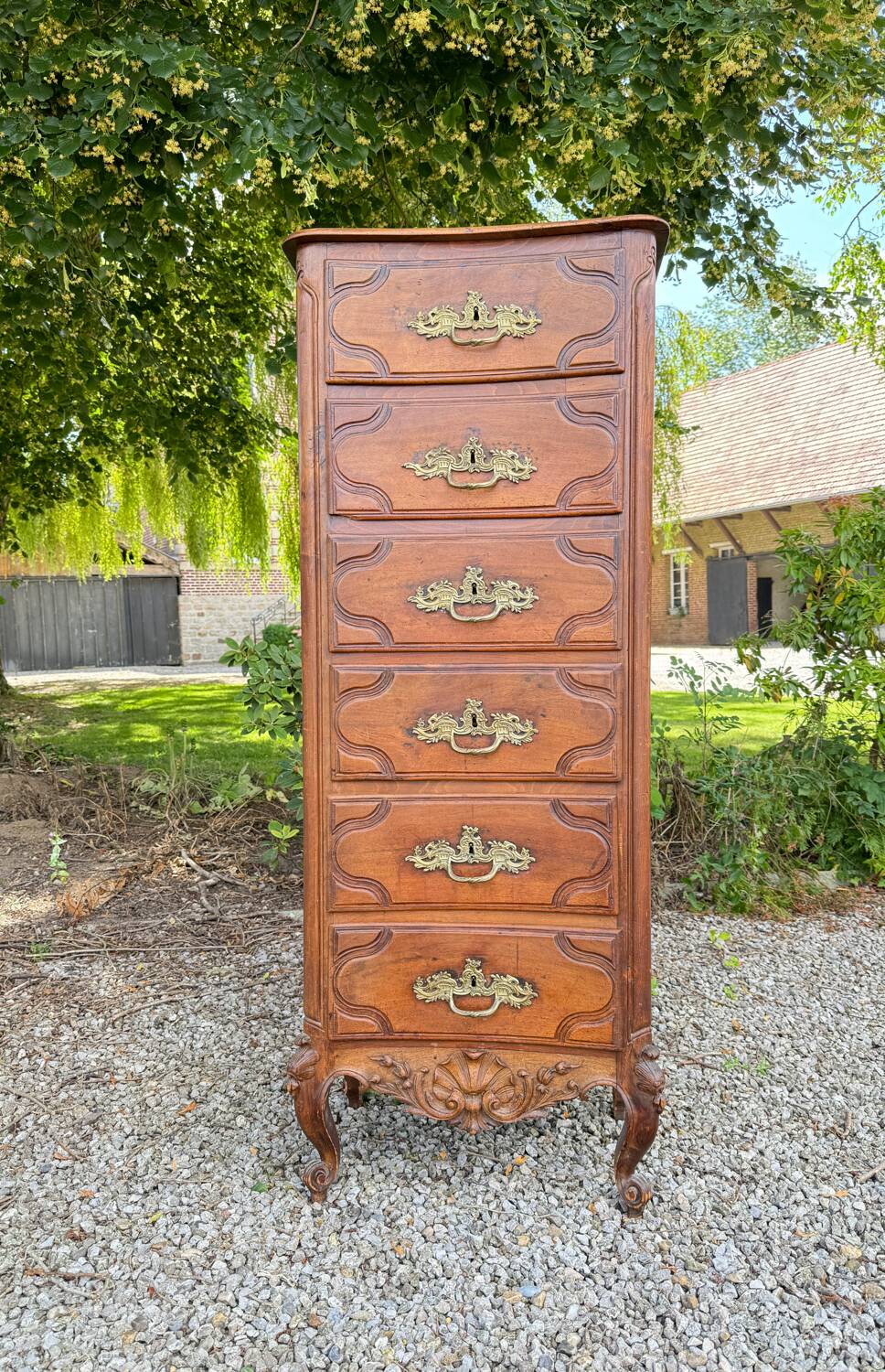 Chiffonnier En Noyer De Style Régence XIX Eme Siècle