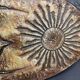 Sun coffee table in lava stone period 1960