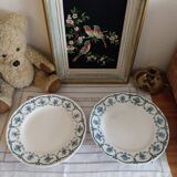 Old Longchamps iron earth flat plates