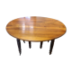 Table 6 pieds à rallonges