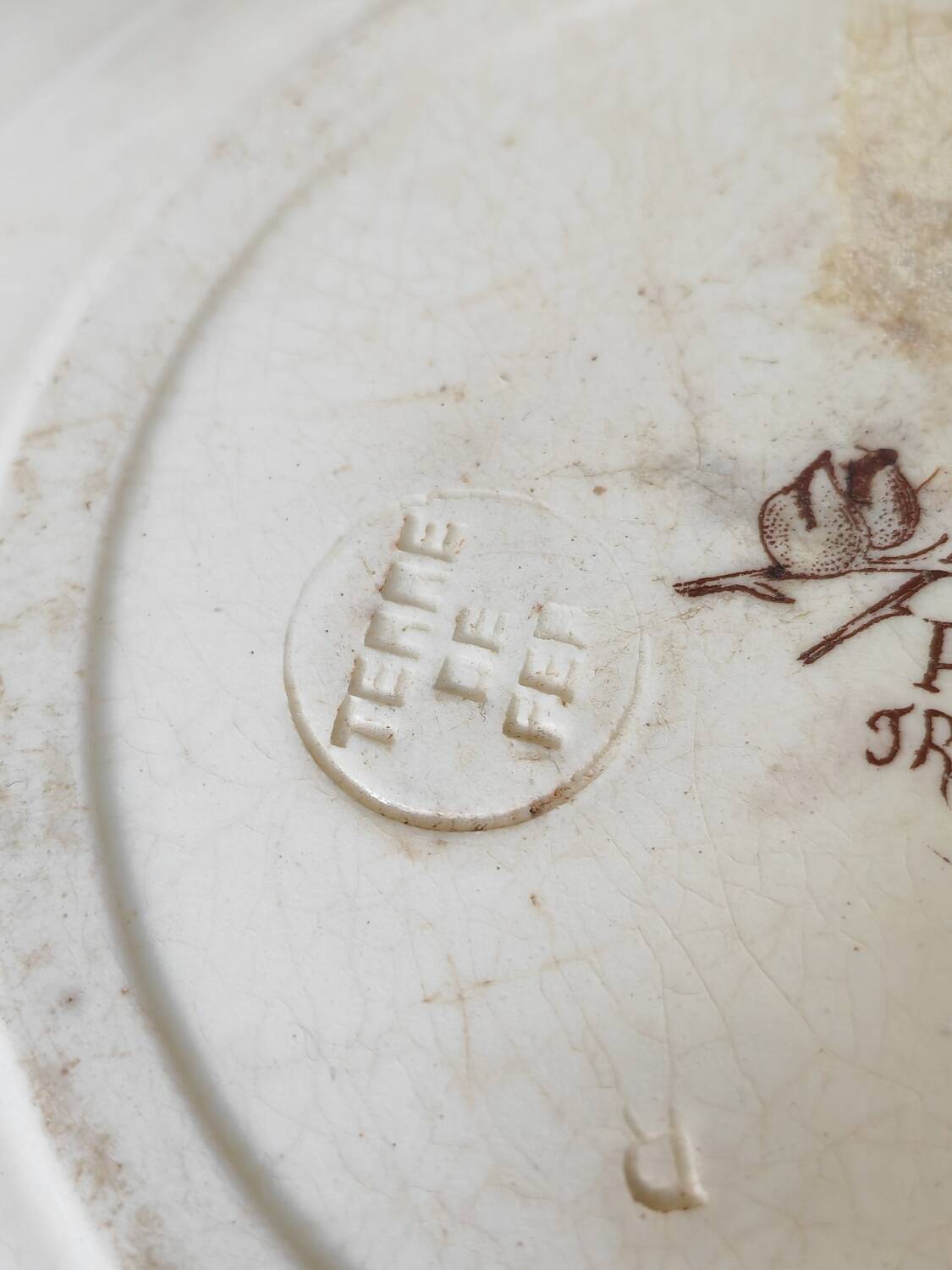 Old polychrome plate Trémières