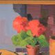 Still life by Hugo Olsson