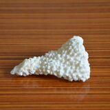 Lot of 3 pieces of coral