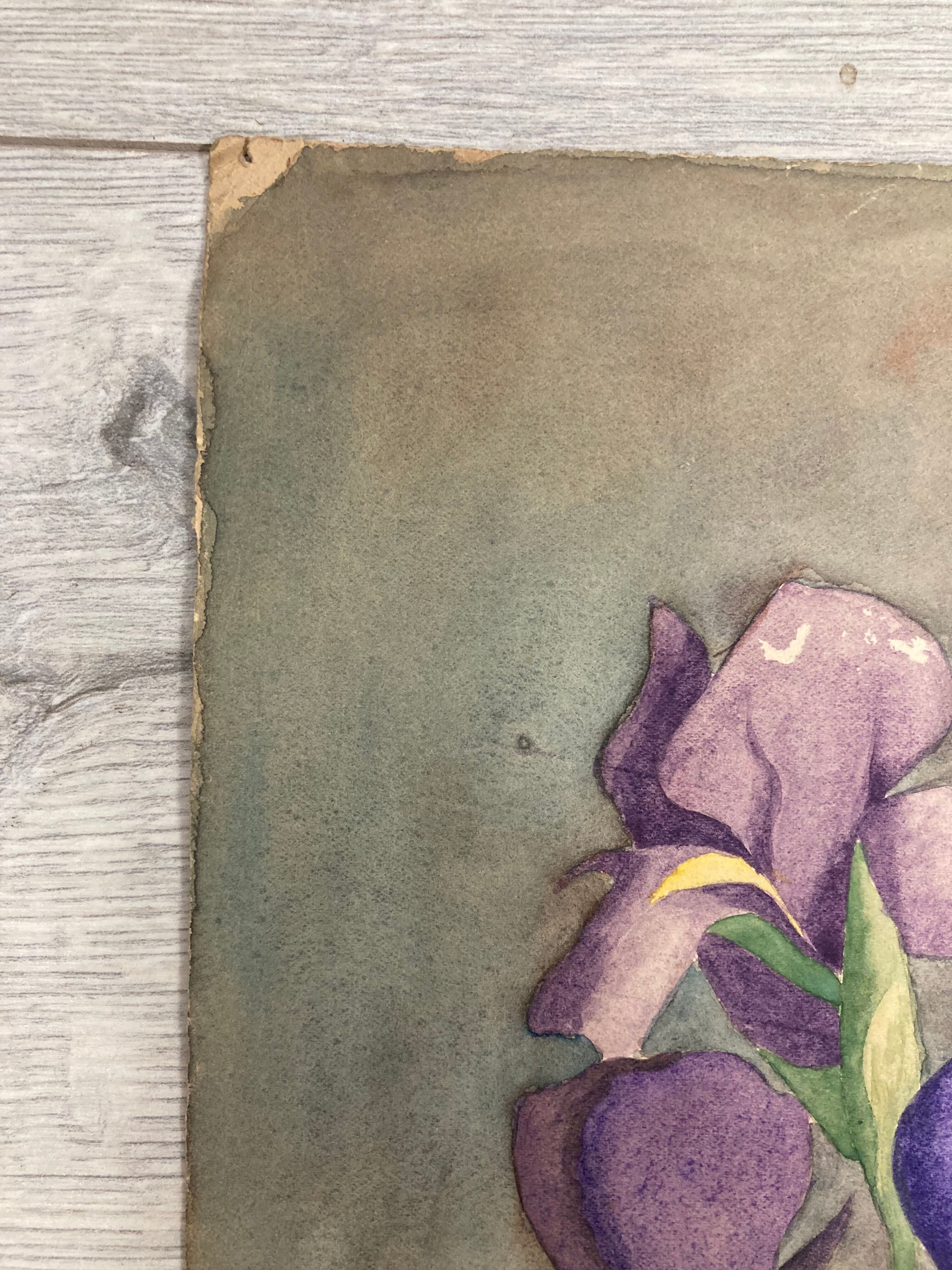 Watercolor with vintage irises