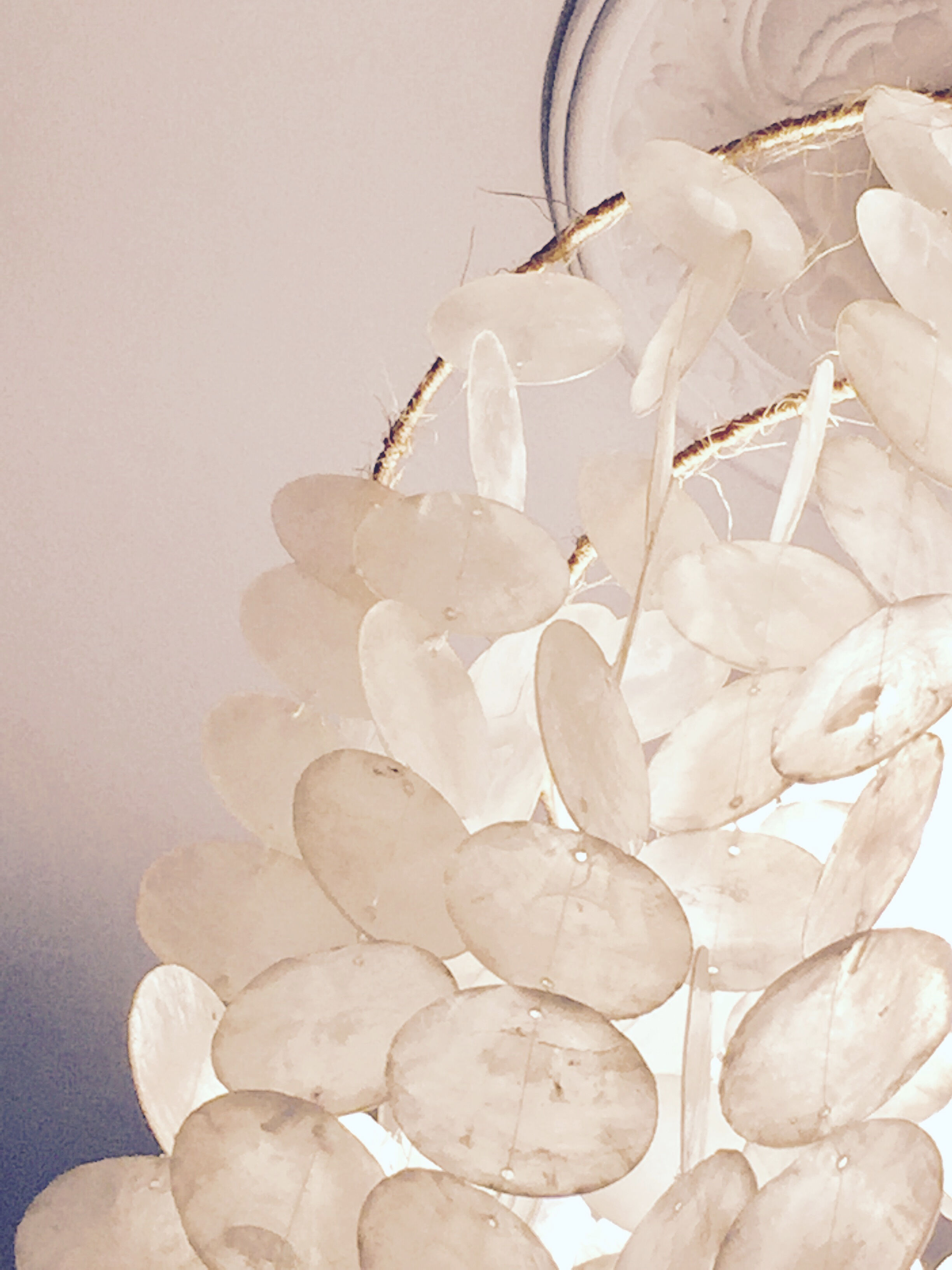 Vintage mother-of-pearl hanging lamp