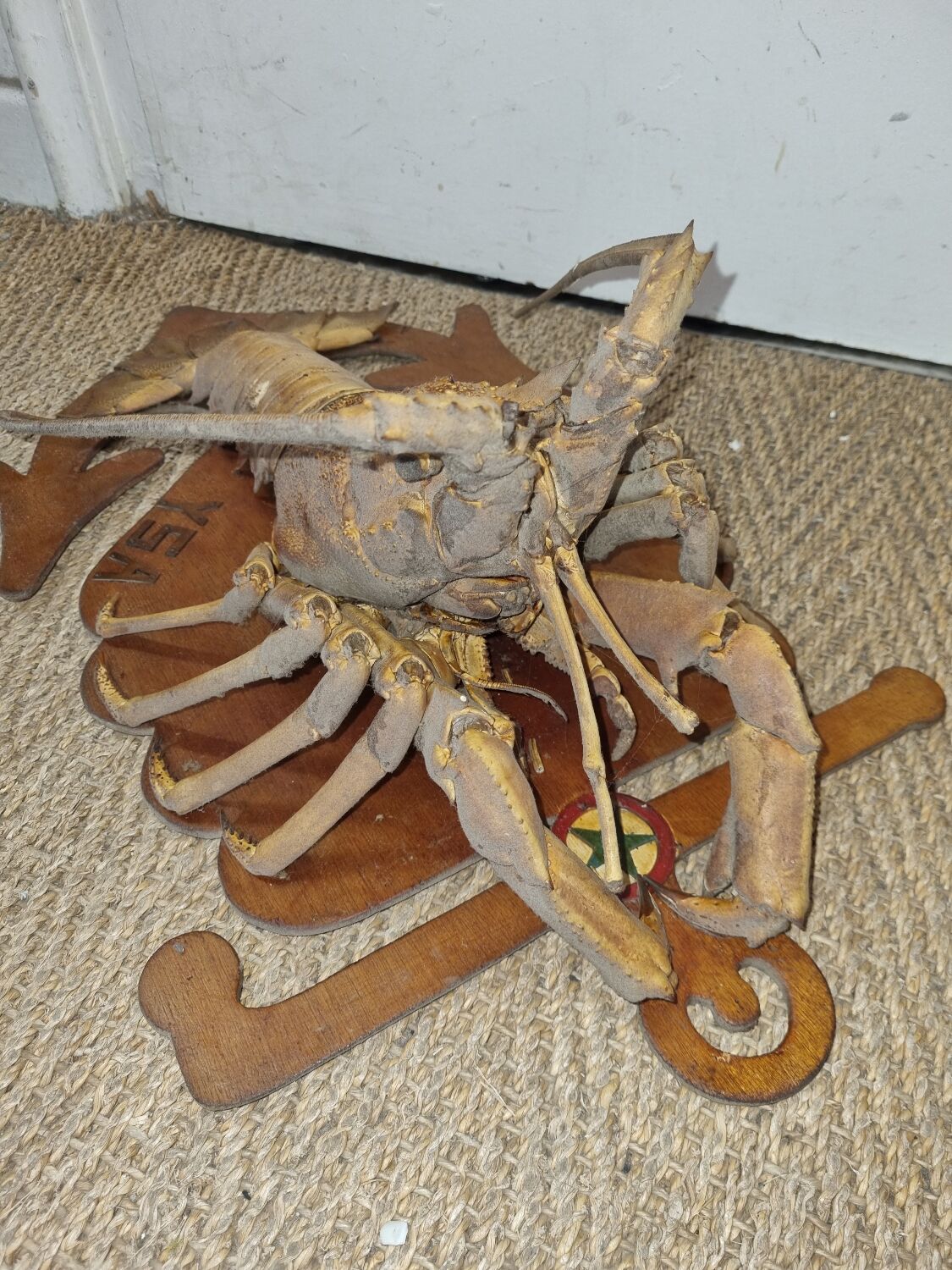 Naturalized lobster of the mid-twentieth century