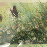 Watercolor ann dunbar "red admiral" 30x40 cm