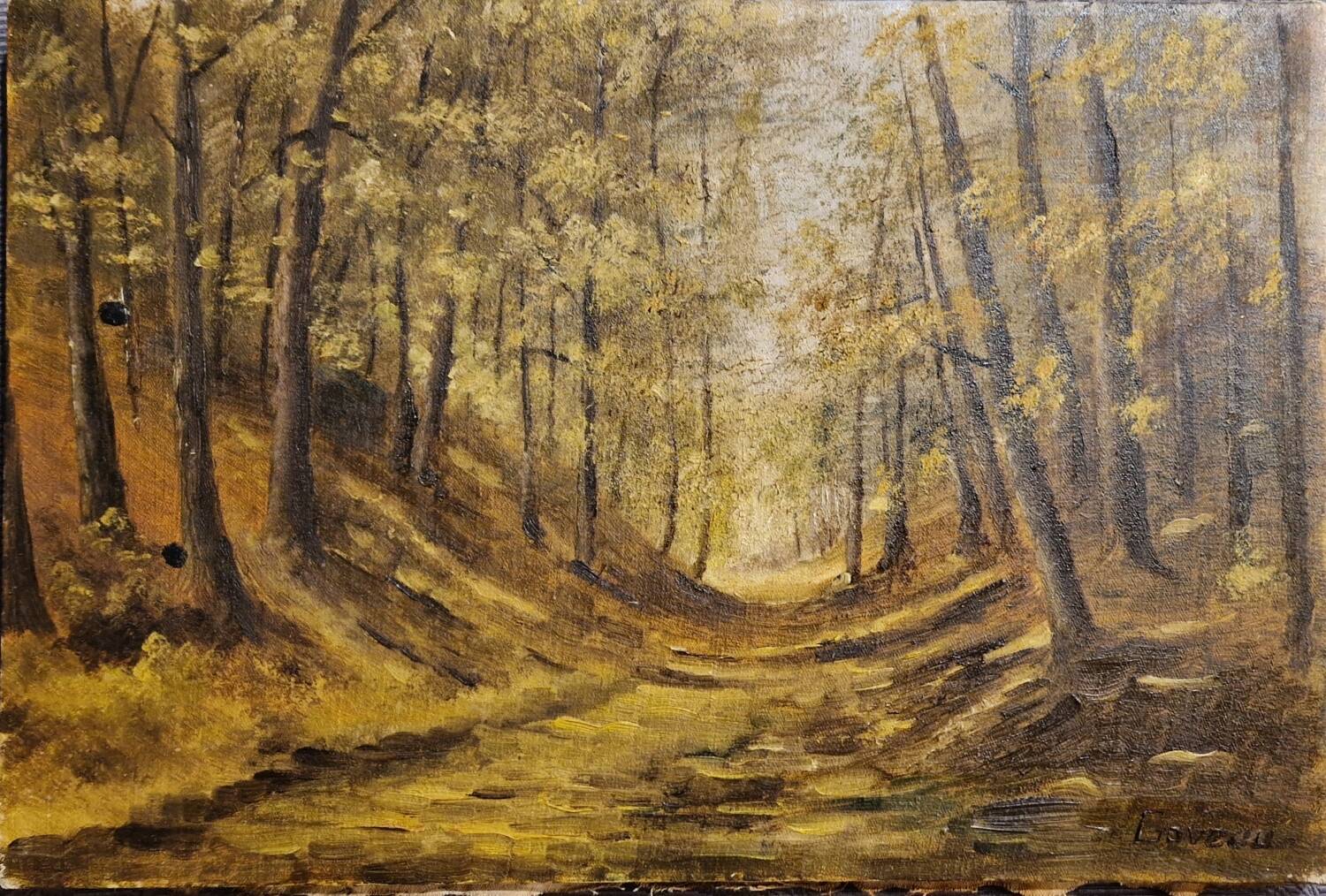 Wooded landscape