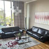 Roche bobois sofa