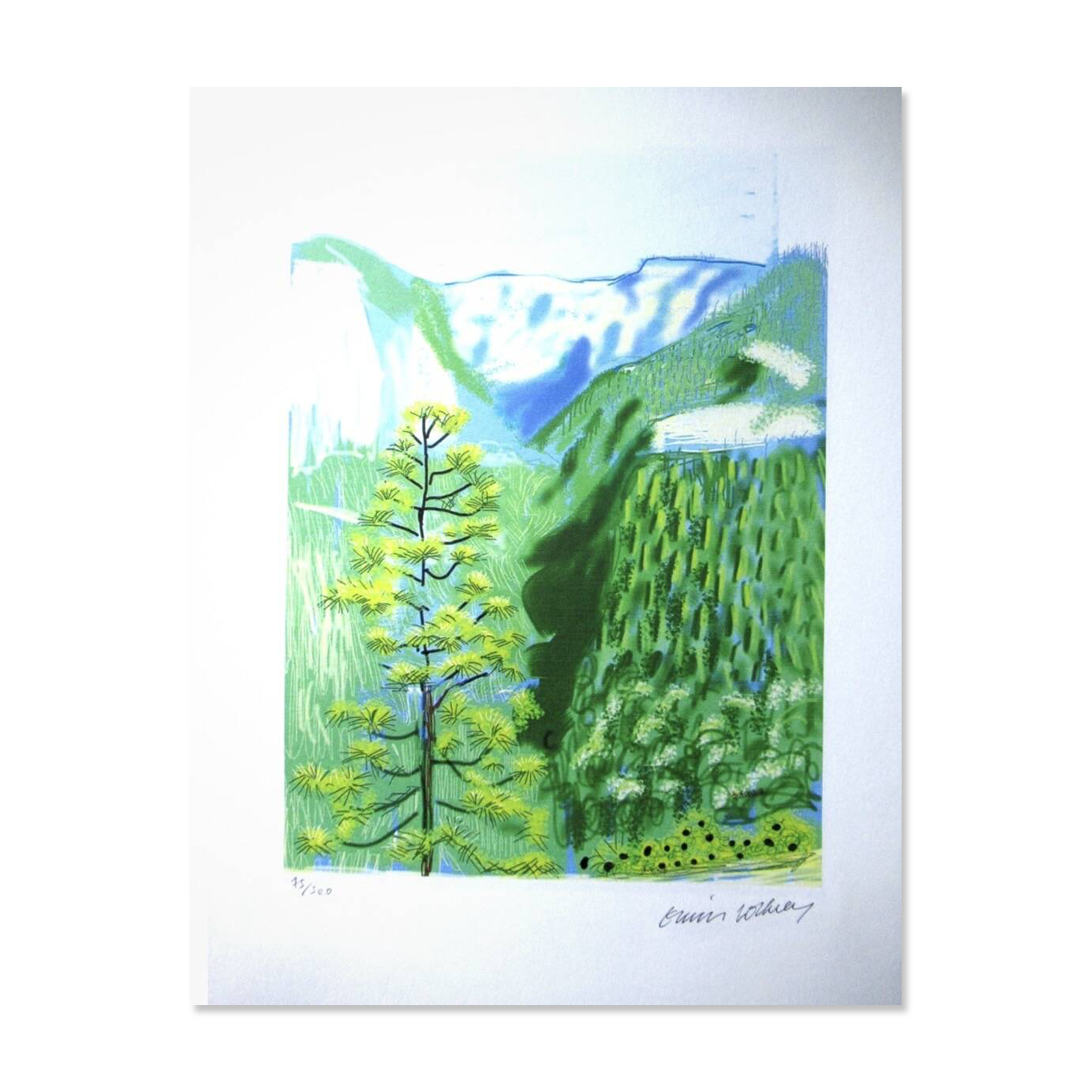 Lithographie de David Hockney signée et numérotée