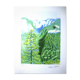 Lithographie de David Hockney signée et numérotée
