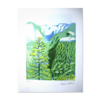 Lithograph by David Hockney, signed and numbered.