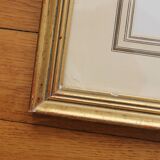 Framed lithograph golden frame bird vintage 60s