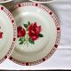6 flat plates of Digoin Sarreguemines model Saverne