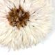 Juju hat white and Brown 50 cm