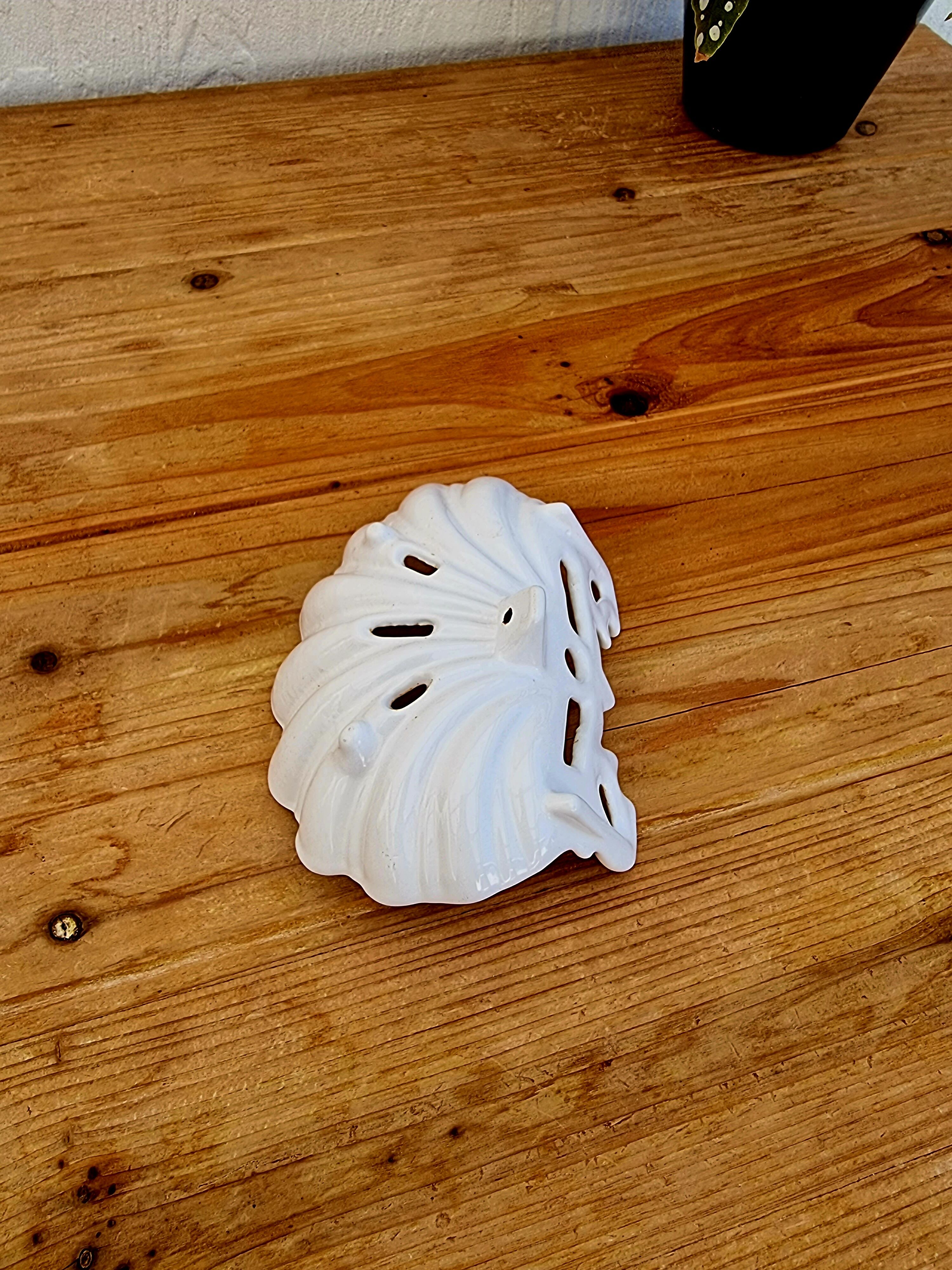 Vintage shell soap holder