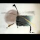 Painting on glass watercolor and gold abstraction important framing