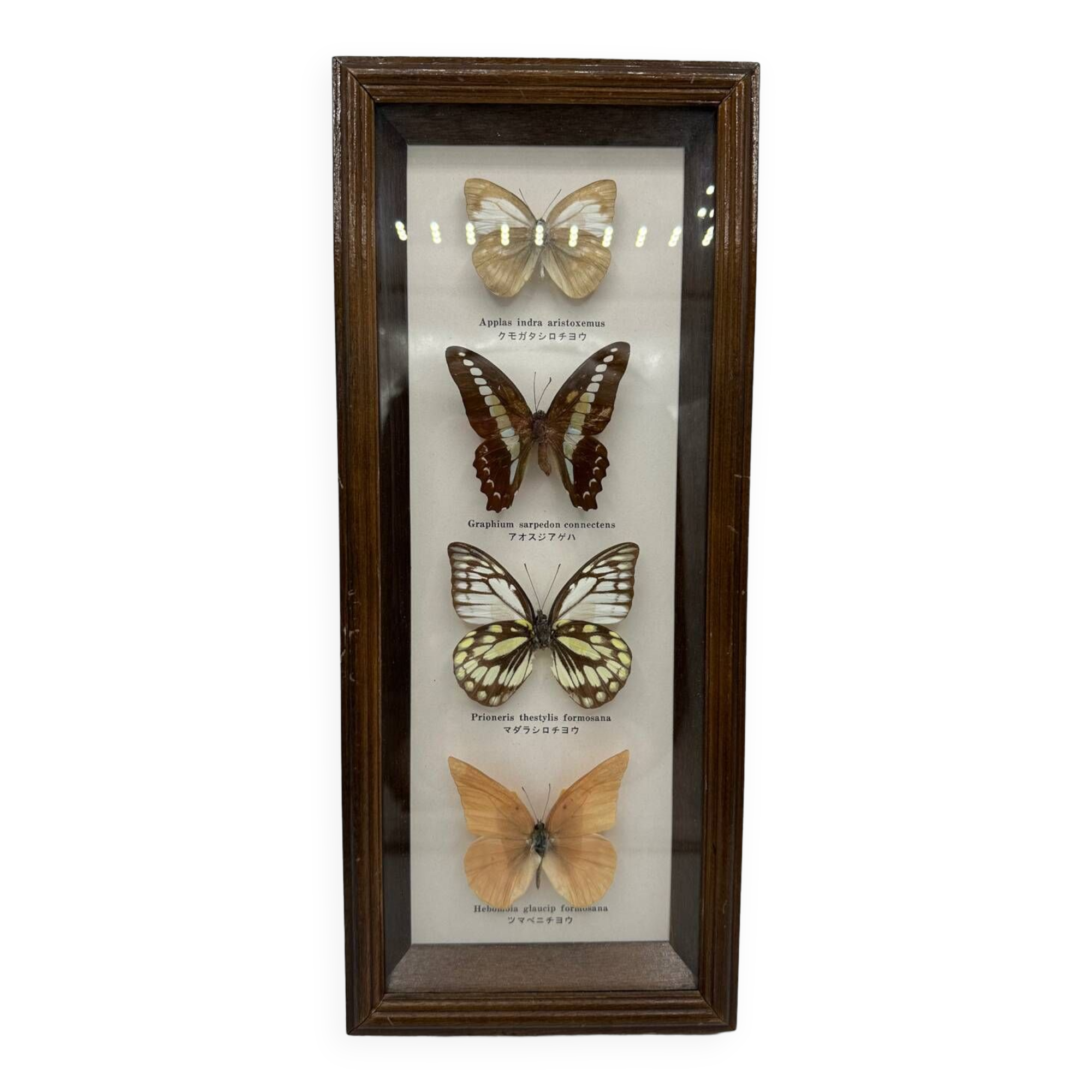 Neutralized butterfly frame