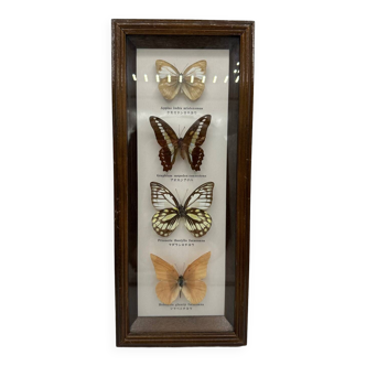 Neutralized butterflies frame