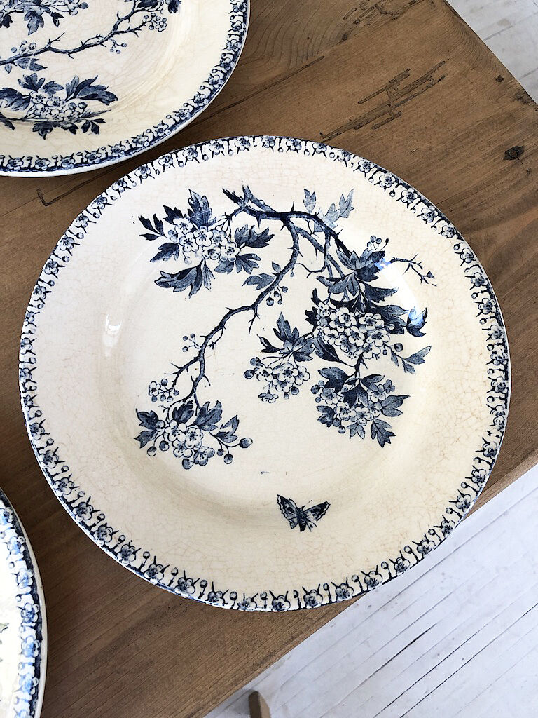 11 plates Terre de Fer Aubepine