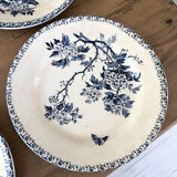 11 assiettes Terre de Fer Aubepine