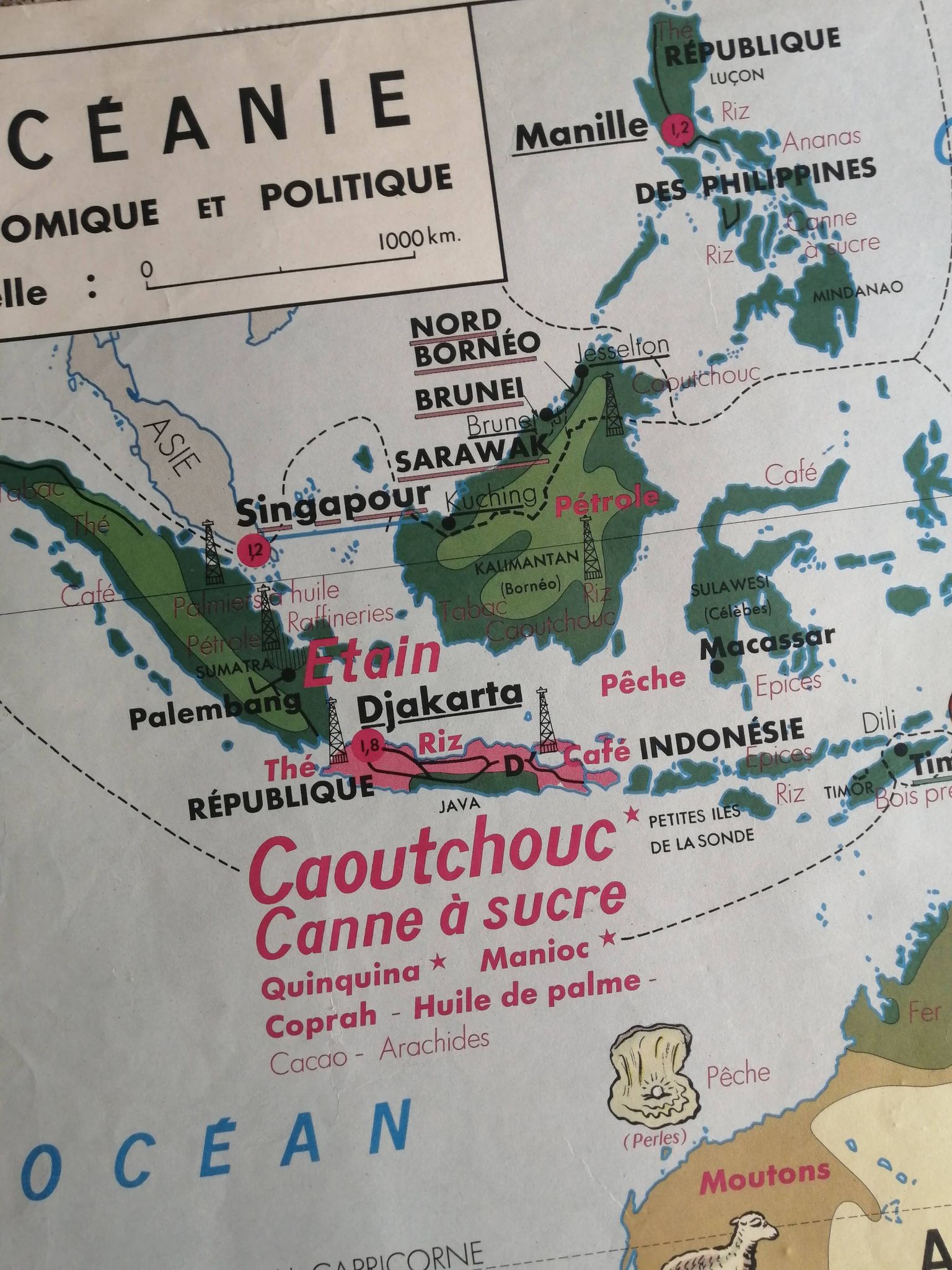 MDI school map: SOUTH AMERICA - OCEANIA fauna vegetation.