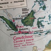 MDI school map: SOUTH AMERICA - OCEANIA fauna vegetation.