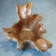 Sculptural wooden centrepiece, organic bowl, brutalist.