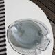 Vintage fish set, Arcoroc France (9 pieces)