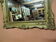 Old golden mirror early XXeme