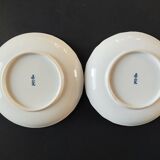 Pair of Asian plates decoration pomegranates