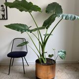 Hammered copper, metal and plastic planter on wheels from the 70s