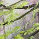 Vintage original forest landscape oil painting, circa 1960s