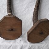 Gazelle horns trophy