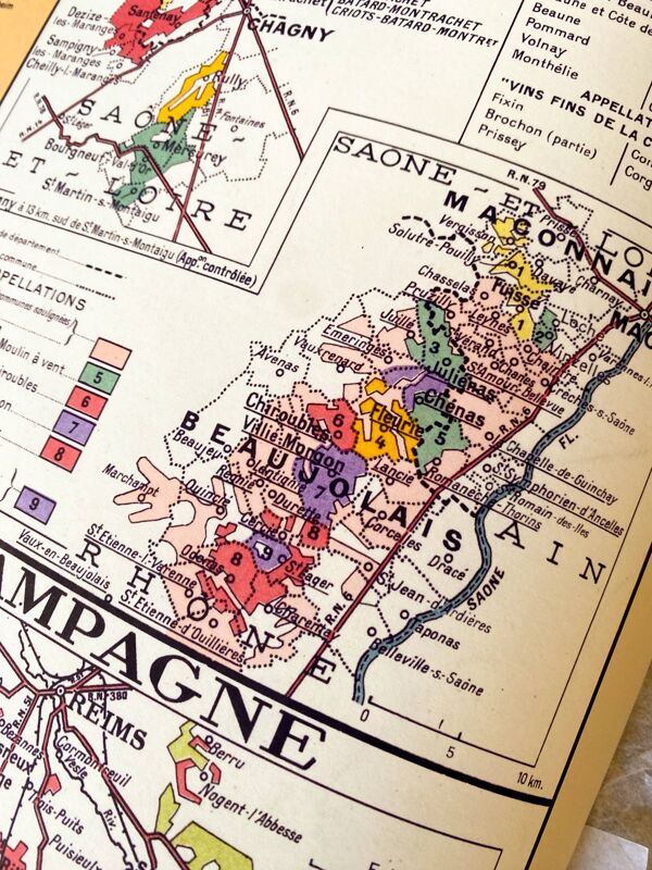 Carte de la France vinicole en 1949