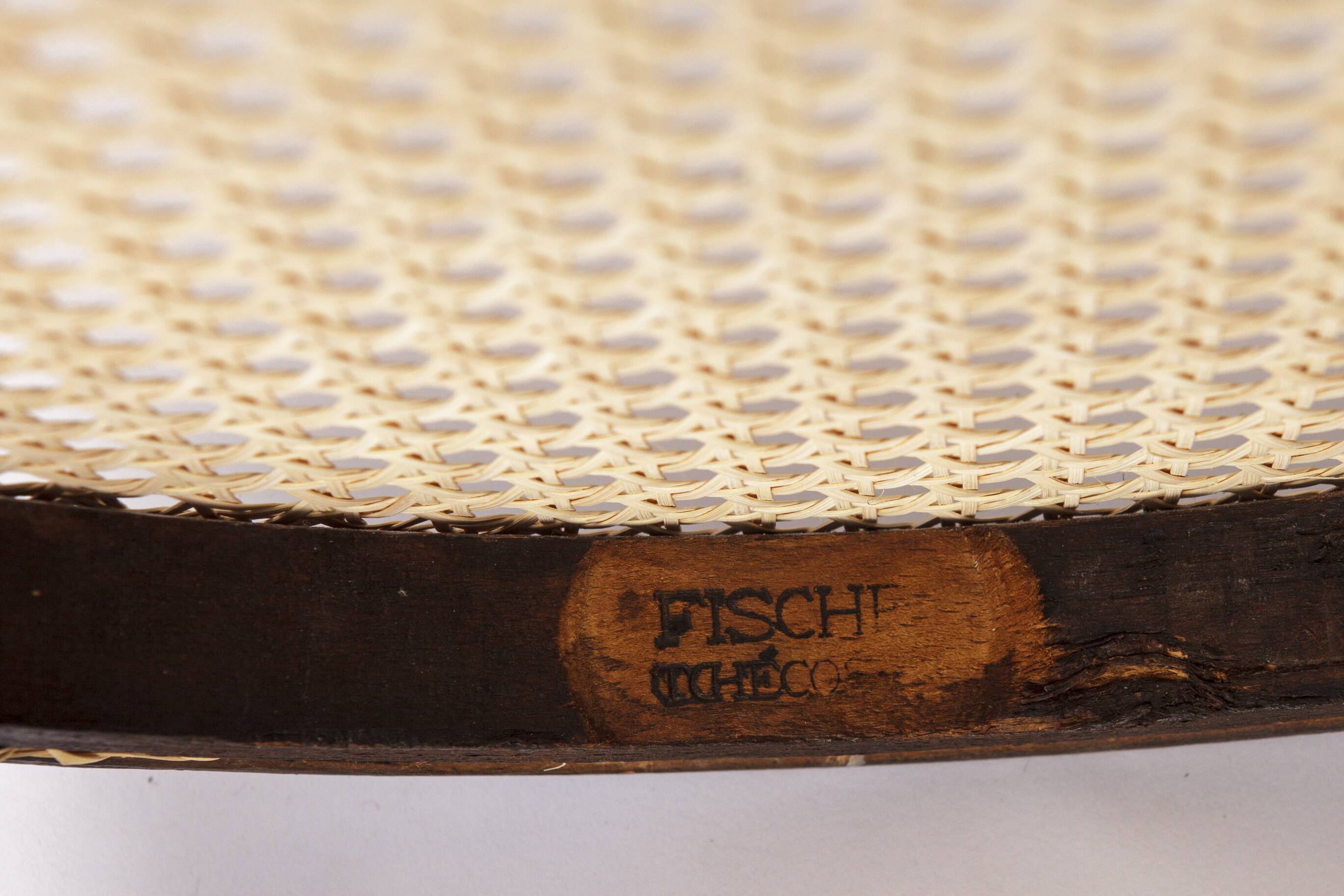 Fischel Bentwood Chair – Early 20th Century Beechwood Frame w