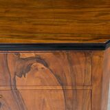 Set of 2 Identical Biedermeier Chests of Drawers, Germany, 19th Century, Wa