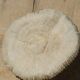 Natural white coral from the 1970s