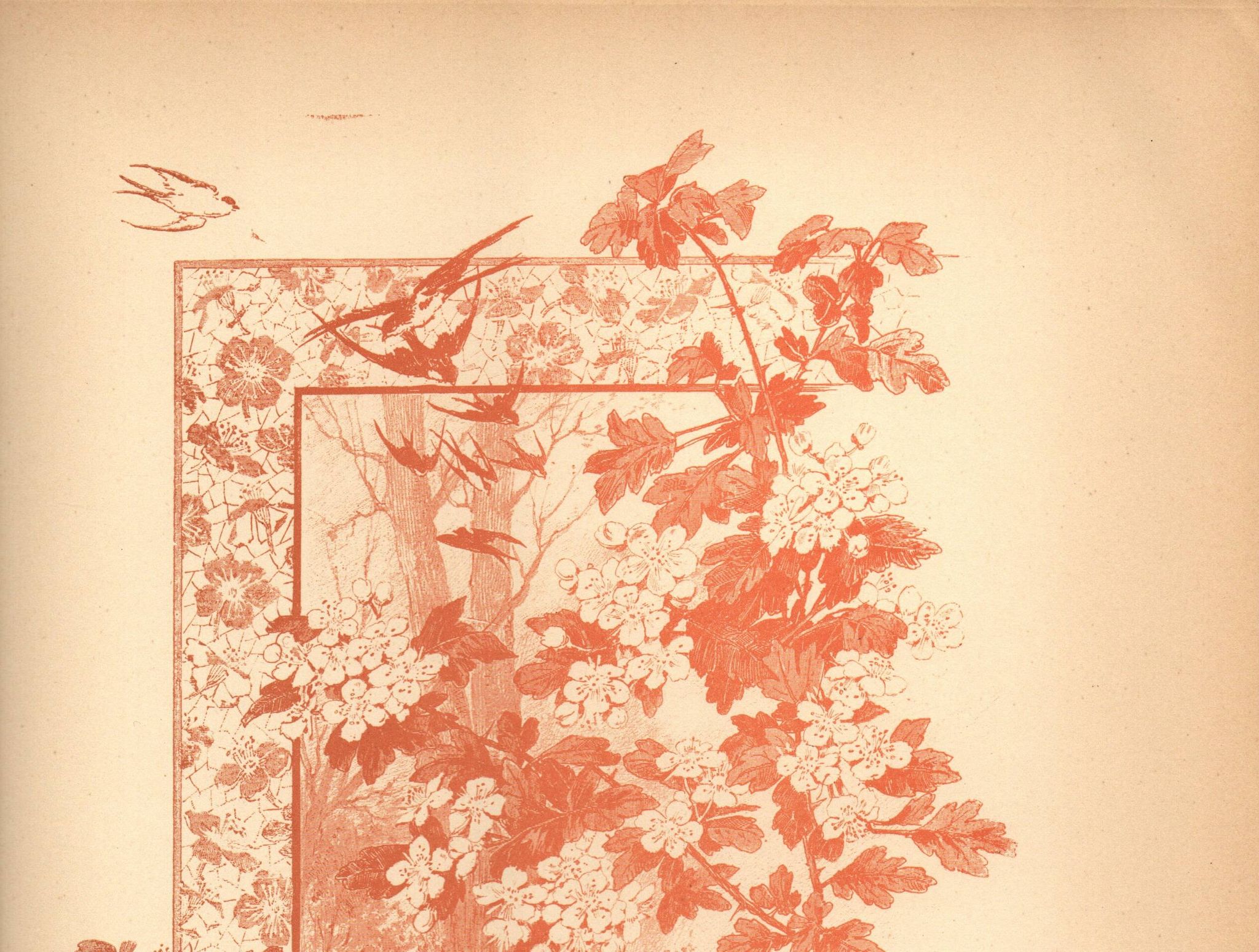 Art Nouveau engraving 1896 - Hawthorn by G. Fraipont. Antique floral plate.